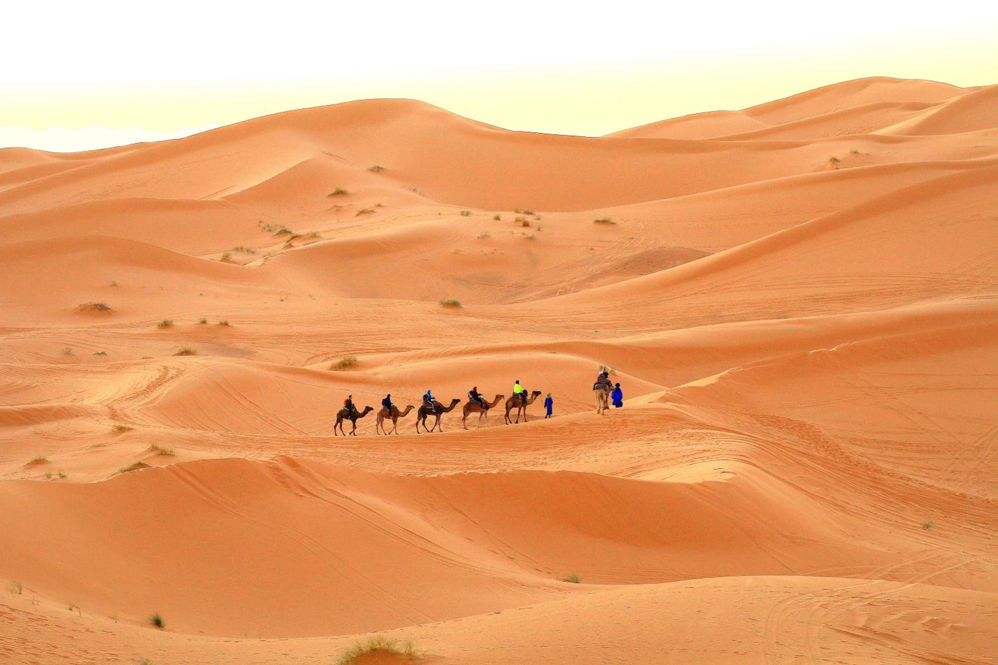 فندق Tafouyte Luxury Camp مرزوكة الغرفة الصورة