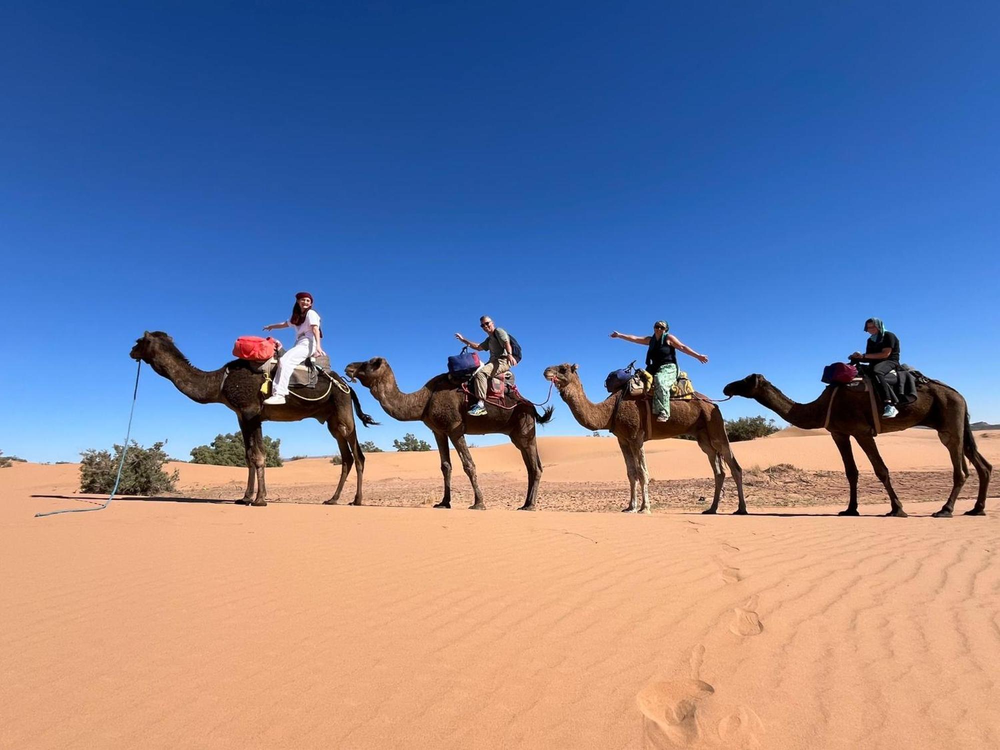 فندق Tafouyte Luxury Camp مرزوكة المظهر الخارجي الصورة